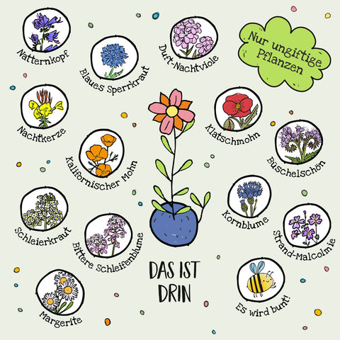 10x5 Blumenmurmeln im Tütchen "Möhren" - Frohe Ostern