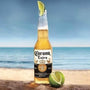 Corona Bier