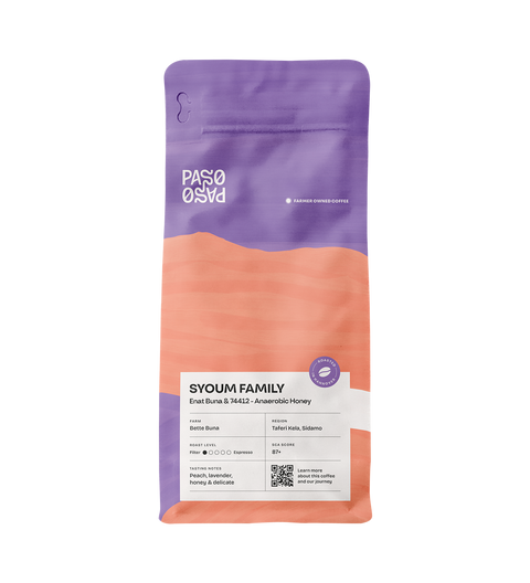 Filter Coffee - Syoum Family - Anaerobic Honey