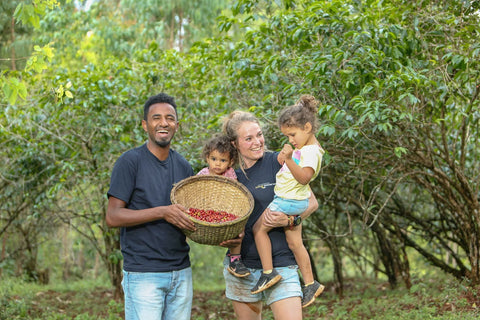 Filter Coffee - Syoum Family - Anaerobic Honey