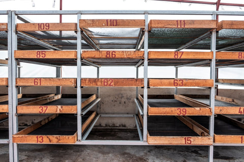 Costa Rica - Diego Robelo - Centroamericano Anaerobic Natural